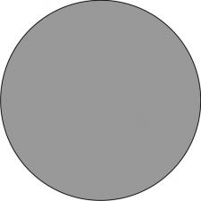 Cake Flora airbrush colour silver sheen