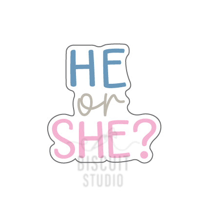 Stylized text 'HE OR SHE?' in blue and pink cookie cutter by Biscuit Studio