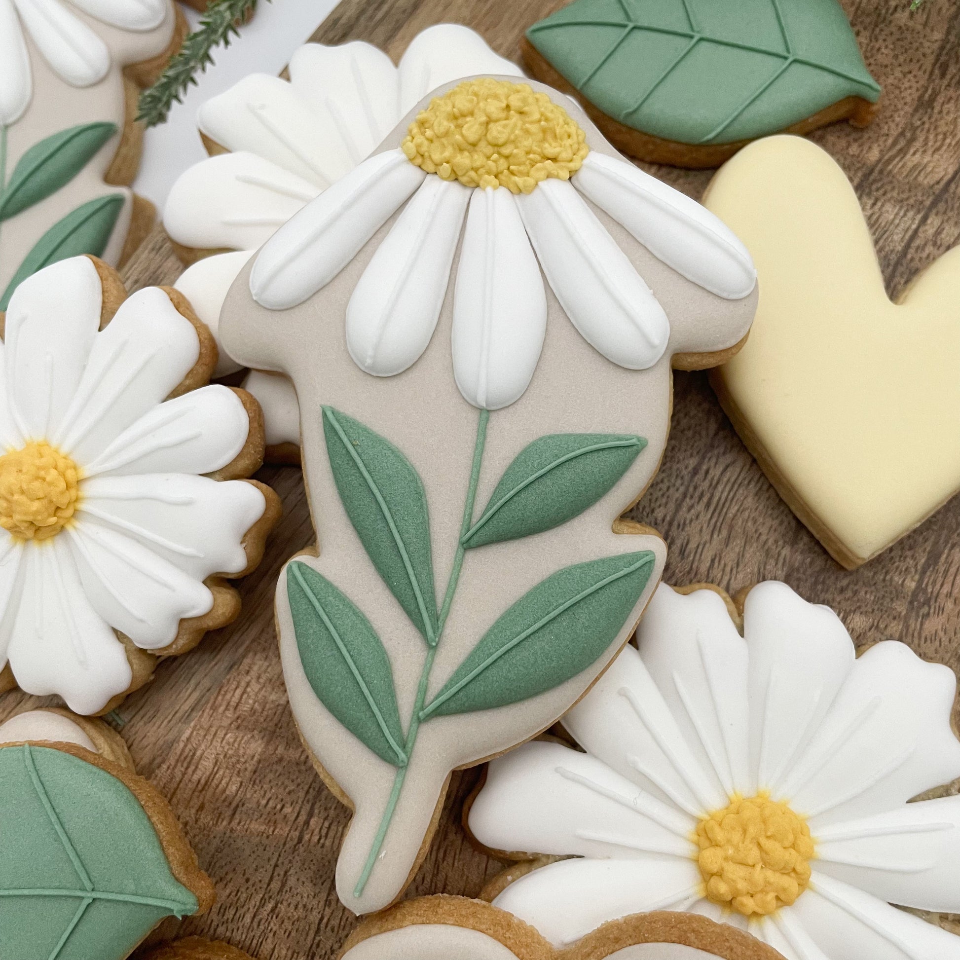 Daisy with leaves cookie by Biscuit Studio